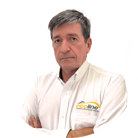 Expertos en nutrición